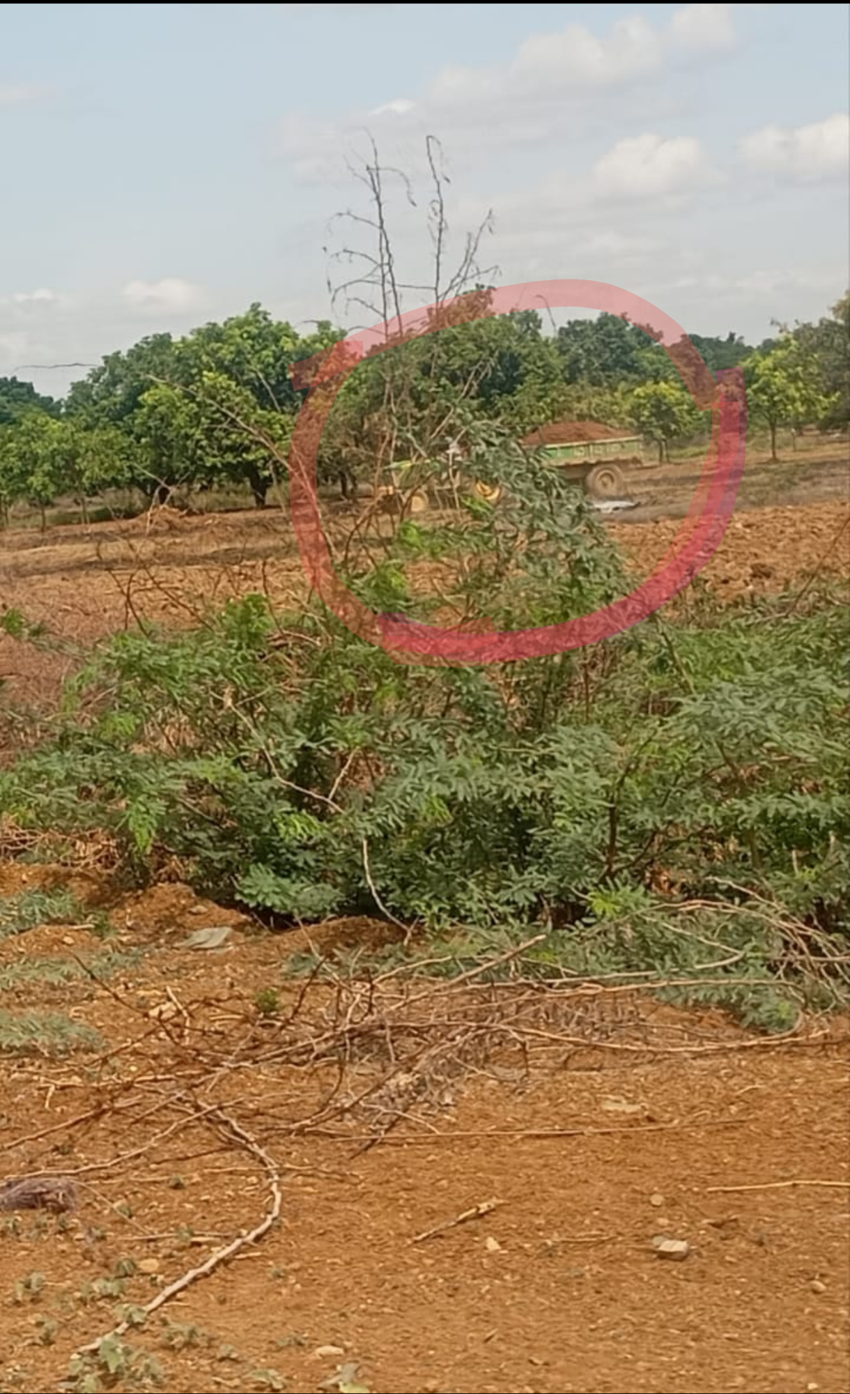 News Image 2